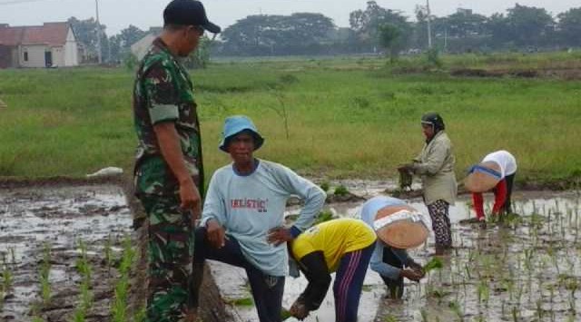 TNI dampingi petani