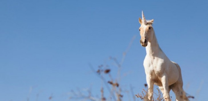 Unicorn bukanlah sebuah mitos. Binatang ini benar penah ada di bumi hanya saja wujudnya tidak seperti ini. Foto: usnews.com