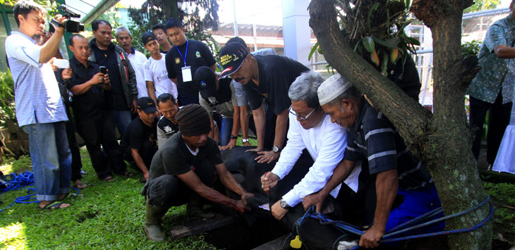 Gubernur Jawa Barat, Ahmad Heryawan menyembelih hewan qurban di halaman Gedung Pakuan.