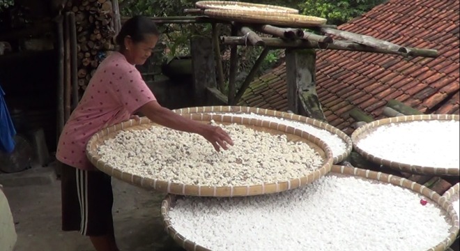 Beras singkong (rasi) Kampung Adat Cireundeu, Cimahi (Gatot Puji Utomo/Radar Bandung) 