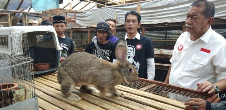 Deddy Mizwar bersilaturahmi dengan para petani peternak kelinci di Kp baruadjak, Lembang, Bandung Barat.