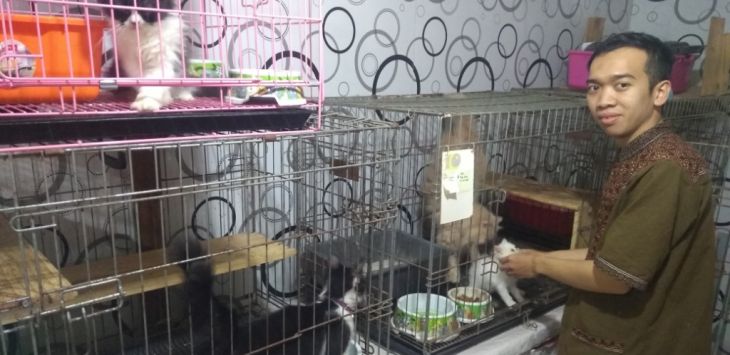 Pegawai Catloversku, Tantri Mizhar Arofahidi menontrol kandang dan kucing-kucing milik konsumennya. Foto: Azis Zulkhairil/Radar Bandung