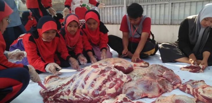 Para pelajar SD Darul Hikam Integrated School (DHIS) belajar memilah daging kurban.Foto Ipan Sopian/Radar Bandung/Pojokbandung