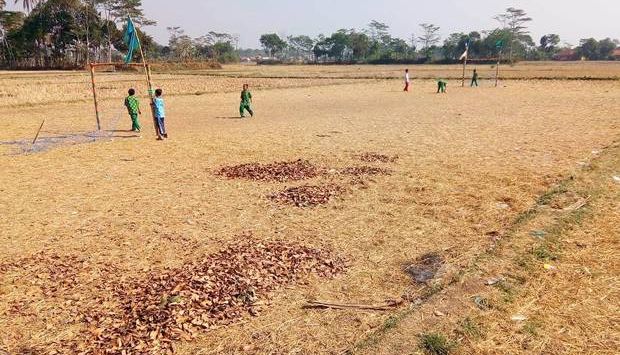 Lahan sawah kini justru dimanfaatkan warga untuk jadi lapangan bola.