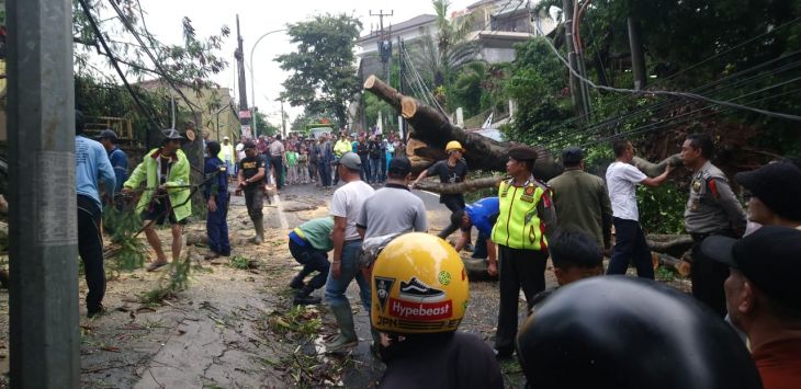 Petugas dan warga tengah mengevakuasi pohon tumbang akibat hujan deras. Ramdhani/Pojokbandung,