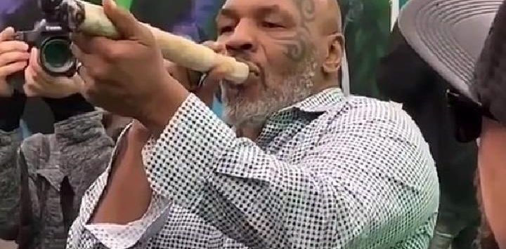 Mike Tyson sedang mengisap ganja dalam sebuah festival di California, Amerika Serikat akhir pekan pertama Februari 2019. (instagram/Daily Mail)