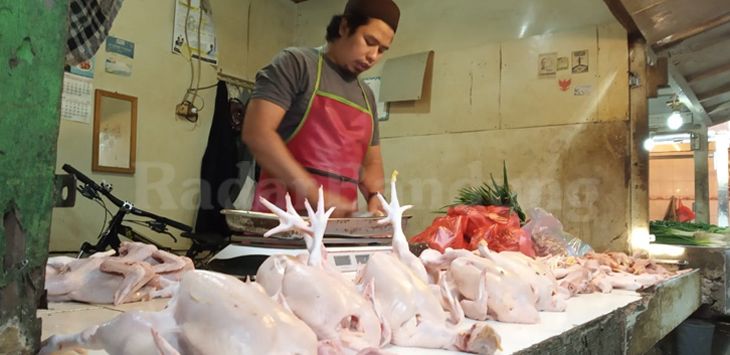 AYAM : Iwan salah seorang pedagang daging ayam di Pasar Sayati, Kabupaten Bandung menjajakan dagangannya, Senin (22/4/2019). (foto : IPAN SOPIAN/RADAR BANDUNG)