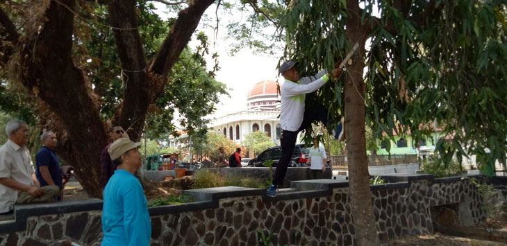 Foto : Bupati Subang Ruhimat ikut memangkas batang pohon pelindung di Alun Alun Subang, Minggu (24/11/2019).
(FOTO:M. ANWAR/RADAR BANDUNG)