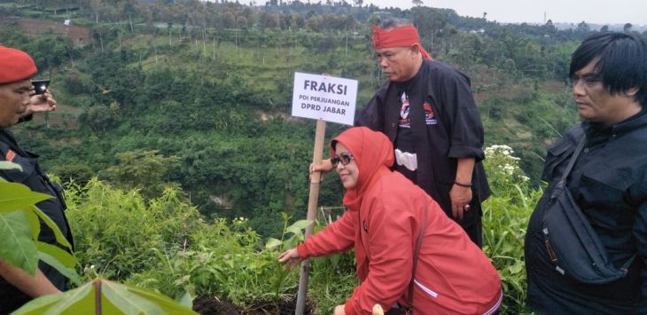 Anggota DPRD Jabar F-PDIP Elin Suharliah (bawah) menanam pohon Desa Padaasih, Kecamatan Cisarua, KBB, Minggu (2/2/2020).