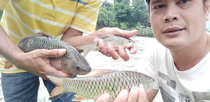 Warga menunjukan ikan yang mati di Sungai Cipunagara, Kabupaten Subang