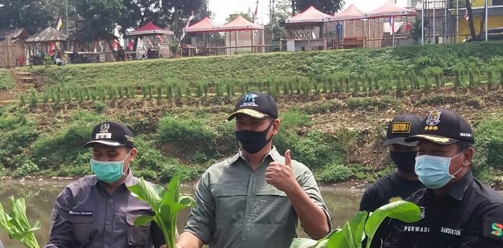 PANEN : Kasdam III Siliwangi, Brigjen TNI Kunto Arief Wibowo didampingi Dansektor 7 Kolonel Kav Purwadi dan Wakil Bupati Bandung Gun Gun Gunawan saat memanen sayuran di bantaran Sungai Citarum.