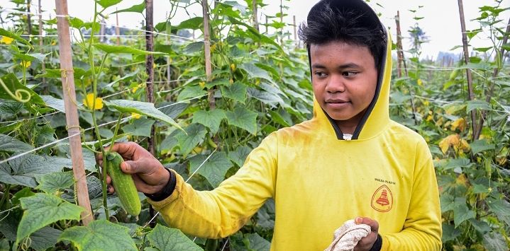 MEMETIK : Seorang petani tengah memetik hasil tani di sebuah kebun yang ada di wilayah Kabupaten Bandung.