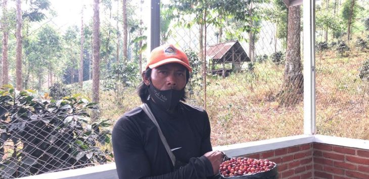 PENANAMAN BIBIT POHON: PLN UPT Bandung lewat program CSR melakukan penanaman 4.000 bibit kopi Arabika di lahan seluas 6,8 di area pegunungan Pasir Munding, Desa Cibeureum, Kecamatan Kertasari, Kabupaten Bandung. (foto: IST)