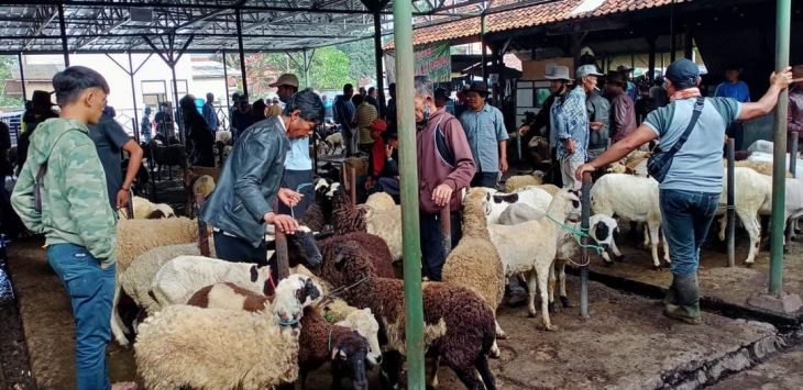 


MEMPRIHATINKAN : Aktifitas di Pasar Hewan Tanjungsari, Senin (15/3/2021). Pasar hewan Tanjungsari merupakan pasar yang memiliki sejarah tersendiri dikalangan pedagang hewan  kambing dan sapi. Namun, pasar yang sudah berdiri sejak lama itu keberadaannya sangat memprihatikan. (foto: TOHA/RADAR SUMEDANG)