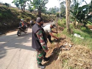 Ini Sanksi Jika Nebang Pohon Sembarangan di Kawasan Citarum