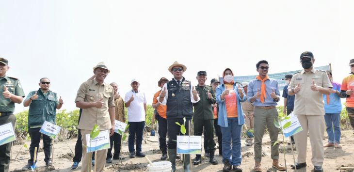 DLH Jabar Tanam Ribuan Pohon Mangrove di Pesisir Pantai Utara Subang. (ist)