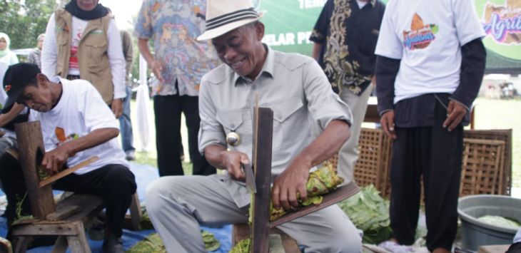 
SUASANA: Kang Jimat mengiris (ngarajah) daun tembakau yang siap olah di Gelar Produk Pertanian Tahun 2023, bertempat di Lapang Desa Sukamelang Kasomalang.