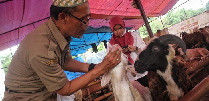 

Petugas DKPP Kota Bandung memeriksan kesehatan sejumlah hewan kurban disalah satu depo penjualan hewan kurban di Jln. Pasirluyu Selatan, Kel. Pasirluyu, Kec. Regol, Kota Bandung. TAOFIK ACHMAD HIDAYAT/RADAR BANDUNG