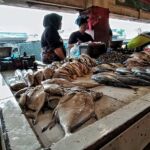 Pemerintah Tidak Pungut Pajak dari Usaha Kecil