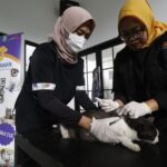 DKPP Kota Bandung Perkuat Pencegahan Zoonosis Lewat Layanan Kesehatan Hewan Terpadu