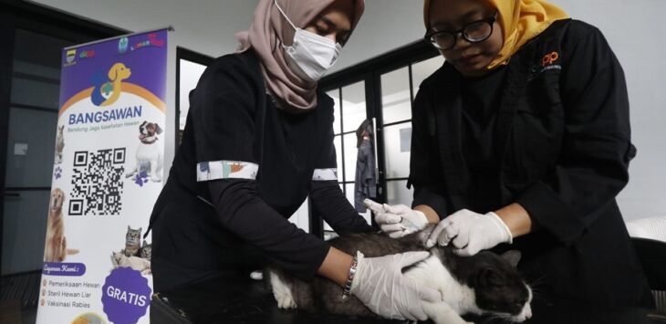 Petugas DKPP Kota Bandung memberikan layanan vaksinasi dan pemeriksaan kesehatan pada kucing dalam kegiatan Bangsawan (Bandung Jaga Kesehatan Hewan) di Kelurahan Ciumbuleuit, sebagai upaya pencegahan penyakit zoonosis dan peningkatan kesejahteraan hewan. Foto : Taofik Achmad Hidayat/Pojok Bandung

