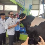 Bupati Bandung Barat Jeje Ritchie Ismail Jamin Hewan Kurban Sehat dan Aman