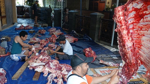 Warga memotong dan membagikan daging hewan kurban secara mandiri di lingkungan masjid saat perayaan Iduladha 2026 di Kota Bandung. DKPP Kota Bandung mengimbau proses penyembelihan dilakukan sesuai standar kebersihan dan kesehatan untuk menjaga kualitas daging kurban yang dibagikan kepada masyarakat. Foto : Diwan Sapta Nurmawan/Pojok Bandung

