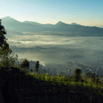 ISTIMEWA