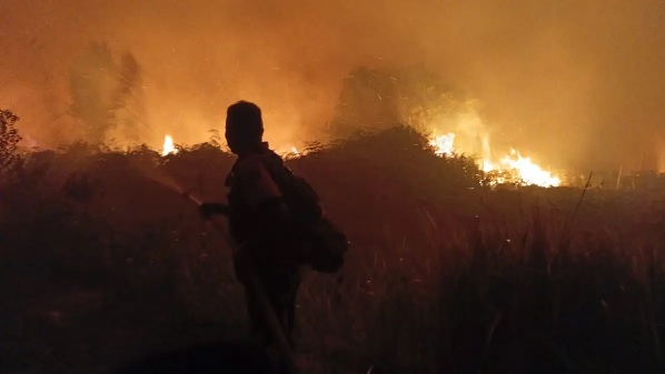 Petugas berjibaku memadamkan karhutla Kalimantan. Kabut asap akibat kebakaran hutan dan lahan (karhutla) di Kalimantan terus meluas. Foto : Dok. TNI


