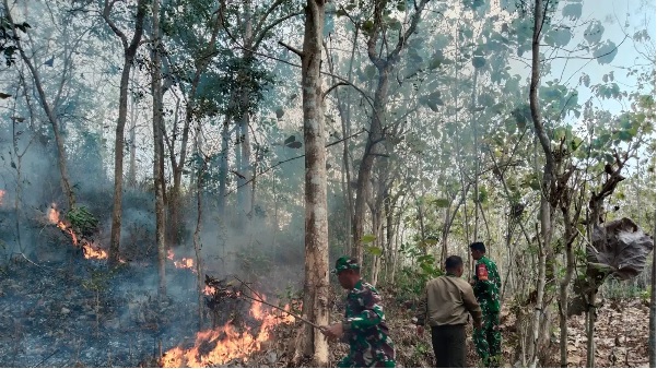 Kebakaran Hutan dan Lahan atau Karhutla Belum Teratasi, Enam Provinsi Jadi Atensi Presiden Prabowo Subianto